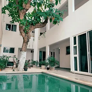 Cozy Zazil-ha Aparthotel